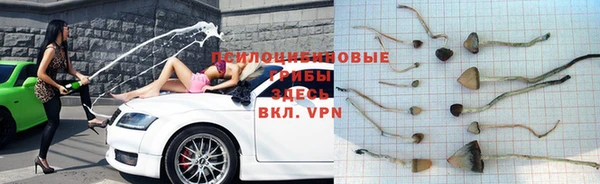 синтетический гашиш Богородицк